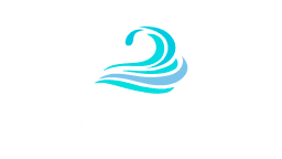 Second Life NGO